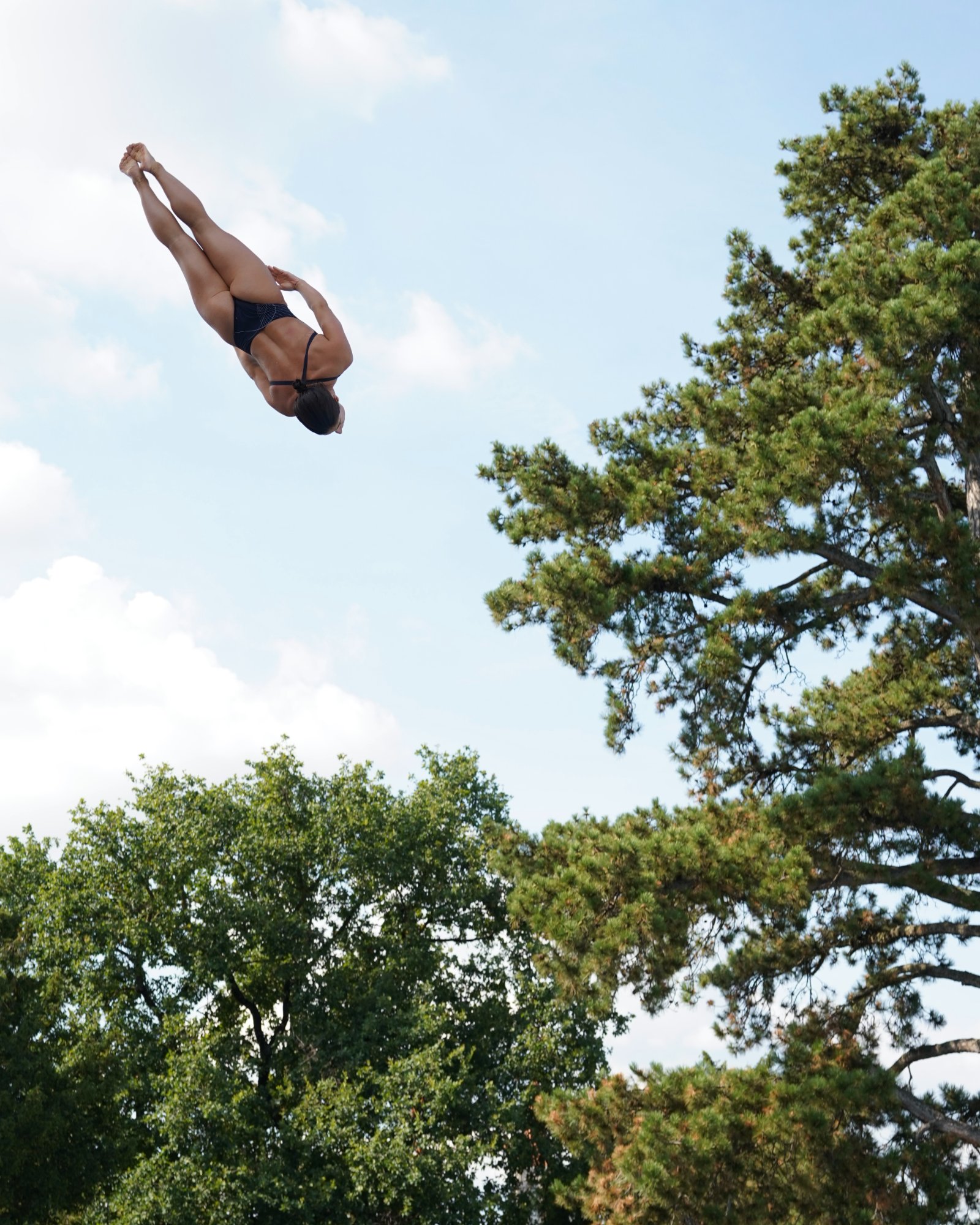 Dive over trees